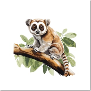 Slow Loris Posters and Art